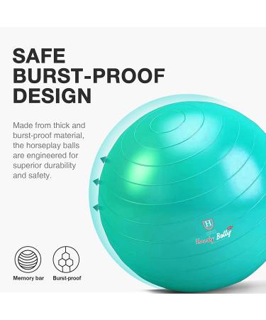 Harrison Howard Mega Horse Play Ball 25 Turquoise - Anti-Burst Giant Horse Soccer Ball - Buy Online on GoSupps.com