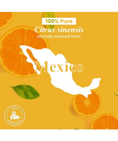 Handcraft Blends Body Glow Set: Sweet Almond Oil (16 Fl Oz) and Orange Essential Oil (4 Fl Oz) 100% Pure & Natural for Uplifting Massage and Skin Glow - Buy Online on GoSupps.com