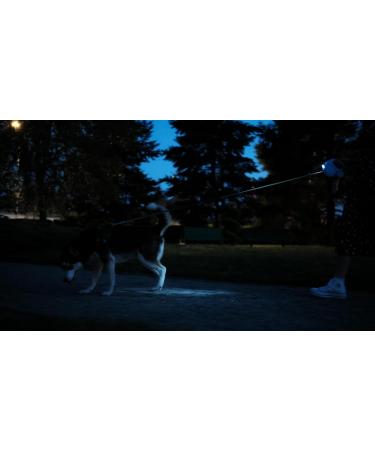 Ultra White Extendable Dog Lead with LED Light & Waste Bag Holder - 5m Retractable Leash for Large Dogs - Reflective & Strong Training Lead for Small, Medium, and Large Dogs - Buy Online on GoSupps.com