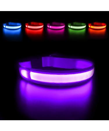MASBRILL Light Up Dog Collar, LED Glow Collar with USB Rechargeable Lighted Bright Purple Dog Flashing Collar Waterproof, 4 Colors with 3 Sizes for Small Medium Large Dogs M(0.98*19.69") Purple