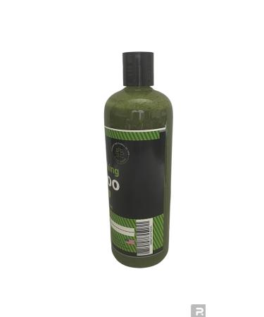 Wonder Nature Moringa Nourishing Shampoo - 100% Plant-Based Vegan & Cruelty-Free | International Shipping Available - Buy Online on GoSupps.com