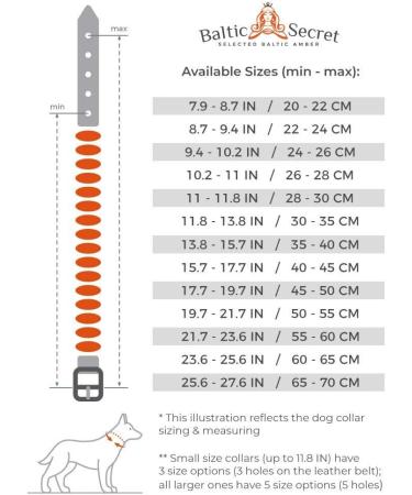 Amber Necklace for Dogs - Effective Tick & Flea Protection | Baltic Secret 60-65 - Buy Online on GoSupps.com