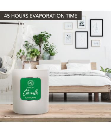 Scented Citronella Candle 200g - Aromatherapy Soy Wax Candle for Home - Perfect Gift & Fresh Aroma Freshener - Buy Online on GoSupps.com
