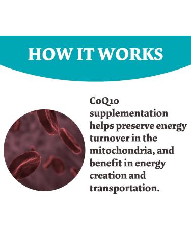 Bumjazz 60 Counts CoQ10 Gummies 300mg High Absorption - Raspberry Flavored - Non-GMO - Gluten-Free - Coenzyme Q10 Gummy - Buy Online on GoSupps.com