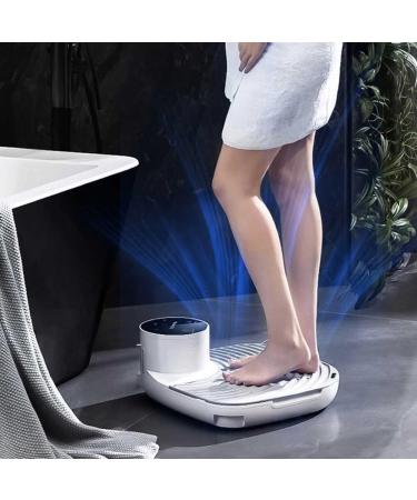 Household Body Foot Dryer Negative Ion Bathroom Body Hair Dryer Weighing Scale Electronic Body Hair Dryer for SPA Body Heater Blow Dryer Waterproof All-Round Quick-Drying for Bathroom Household Standardmodel - Buy Online on GoSupps.com