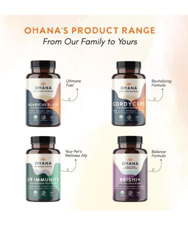 Ohana Agaricus Blazei Organic Mushrooms Blend USDA-Organic Whole Food Mushroom Supplement Non-GMO Gluten-Free 90-Capsule Bottle Pack of 1 Agaricus blazei Capsules 1 Count (Pack of 1) - Buy Online on GoSupps.com