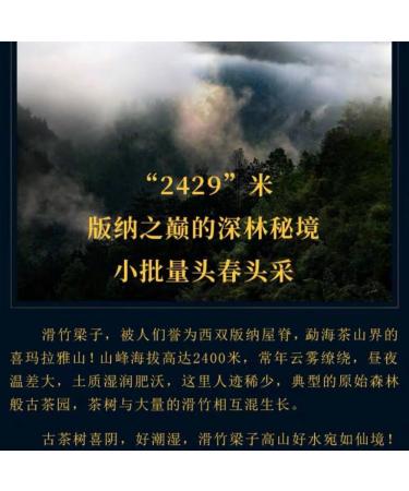 Pu-erh tea 2020 SHENG JIA YUAN slippery bamboo beams 357g Raw - Buy Online on GoSupps.com