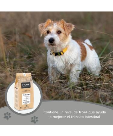 Avantis Pet Pure Grain Free Adult Dog Food for Adult Dogs of All Breeds 2 kg 100% complete and balanced food with Chicken and without cereals for dogs suffering from intolerance and - Buy Online on GoSupps.com