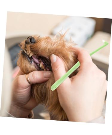 WOONEKY 1pc Pet Single Head Toothbrush Dog Toothpaste Cat Toothbrush Cleaning Kit Manual Plastic Care Brush - Buy Online on GoSupps.com