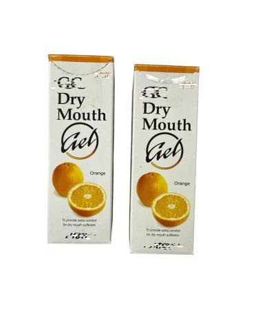 Dry Mouth Gel Toothpaste Orange Flavour 40 Gram - Pack of 2