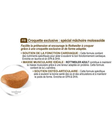 Royal Canin Dog Food Rottweiler 26 Dry Mix 12kg Poultry 12 kg (Pack of 1) - Buy Online on GoSupps.com