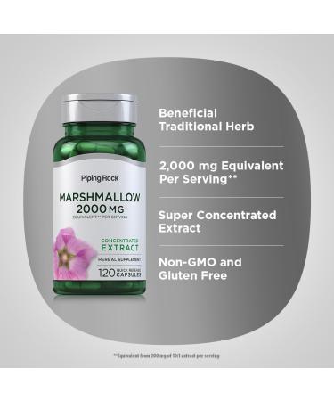 Piping Rock Marshmallow Root Supplement | 120 Capsules | Herbal Concentrated Extract | Non-GMO Gluten Free - Buy Online on GoSupps.com