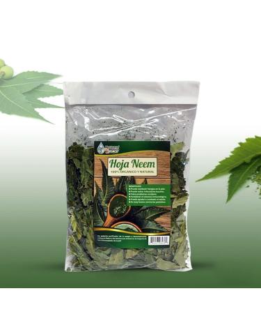 Hoja Neem Herbal/Tea 4 oz-113g Mexican Neem Leaves Supports Skin Immune & Liver