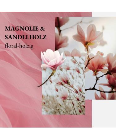  we:care2 we:care Liquid Hand Soap 250ml with Magnolia/Sandalwood Sustainable and vegan liquid soap free of silicone parabens and microplastics - Buy Online on GoSupps.com