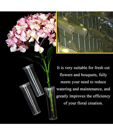 Hahiyo 60Pcs 1.6x0.7 Inch Floral Water Tubes with Silicone Caps - Fresh Flower Arrangement Supplies - Buy Online on GoSupps.com
