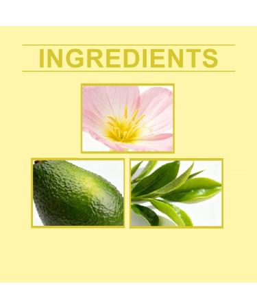  XUSHAOLUN Moisturizing cream with 60% urea and tea tree oil fast-absorbing and non-greasy for hands and feet. Long-lasting moisturizing care for rough and soothing skin. (4 pieces) - Buy Online on GoSupps.com