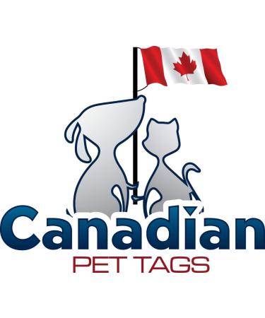 Cat Pet Collar Charm - Outdoor Cat I Live Nearby Please Leave Me Alone - Double Sided (Pink) - Buy Online on GoSupps.com