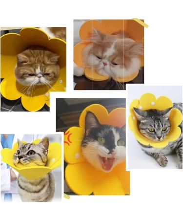Renyigou Pet Rehabilitation Collar - Sunflower Yellow - Size M: 21-25cm/8.3-9.9in - Buy Online on GoSupps.com