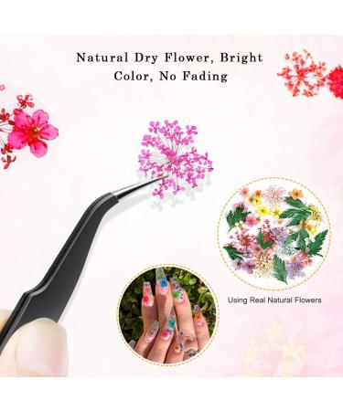 Changar Nail Sticker Set | 3D Dried Flowers for Nail Art | DIY Handicrafts & Synthetic Resin Five Petals - Buy Online on GoSupps.com