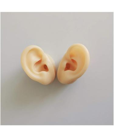Silicone Ear Model for Acupuncture - Life Size Human Ear Model Lifelike Artificial Ear Model for Science Class Teaching Display Studs Earring Display Props - Buy Online on GoSupps.com