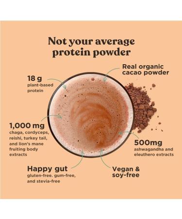 Organic Vegan Protein Powder - Creamy Cocoa Protein Vegetable with Choclate Flavored Lion's Mane 600g - Buy Online on GoSupps.com