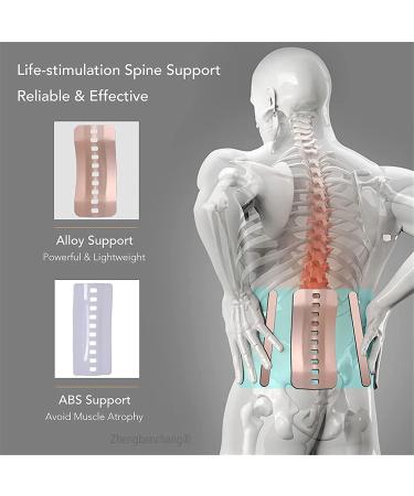 Back Protection Belt(S-XL) with 3 Removable Lumbar Pads 4 Root Bionic Steel Plate Support/Fits Waist Lumbar Support Ease Herniated Disc Lower Back Waist and Stomach Pain XL Grey X-Large Grey - Buy Online on GoSupps.com
