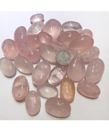 Crystal Stone Natural Rose Quartz Pink Crystal Rock Chip Reiki Stone Minerals Room Decoration for Yoga Collectible 100g QINTINYIN 100g 30-45mm Red - Buy Online on GoSupps.com