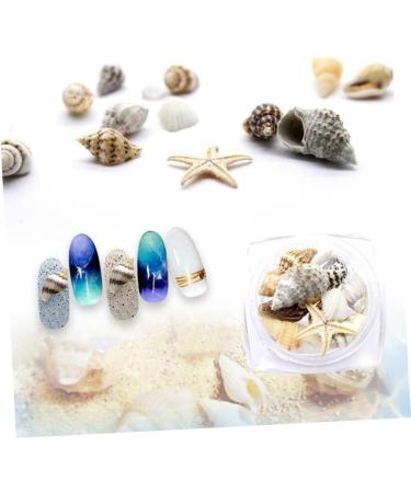 minkissy 1 Box Conch Jewelry Nail Art Decoration Nail Decorations for Nail Art Shell Decor Nail Jewelry Conch Shells Nail Decoration Nail Ornament Nail Stickers 3d False Nails - Buy Online on GoSupps.com