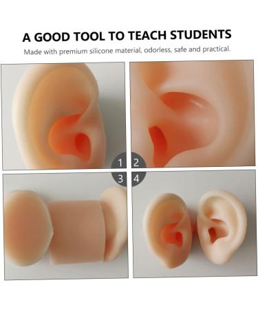 Silicone Ear Models Set - Practice Tools for Ear Picking & Cleaning | Auditory Meatus Display - Buy Online on GoSupps.com