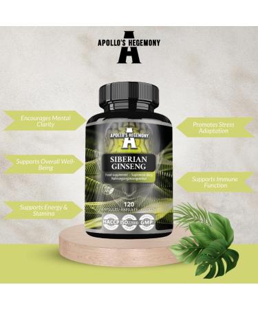 APOLLO'S HEGEMONY Siberian Ginseng 500 mg - 120 Vegan Capsules - 4 Month Extract Standarized to 0 8% eleutherosides B + E - Dietary Supplement - Buy Online on GoSupps.com
