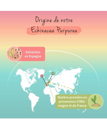 Echinacea Vegavero | Pure Extract: 725 mg | Single: With 4% Polyphenol | 4 Months | Immune System + Powerful Antioxidant | No Additives | Vegan - Buy Online on GoSupps.com