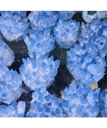 Natural Crystal Cluster Amethyst Specimen Ore Purple Quartz Stone Raw Crystals Home NaturalReiki Decoration Room Decoration FUZEGRDLI 300-400g - Buy Online on GoSupps.com