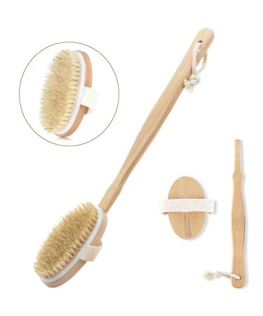 Dry Body Brush  Back Scrubber Detachable Long Handle Bath Brush  Wet and Dry Brushing for Shower with Natural Bristles exfoliating Massage  Natural Bristle Bath Brush for Remove Dead Skin Cellulite