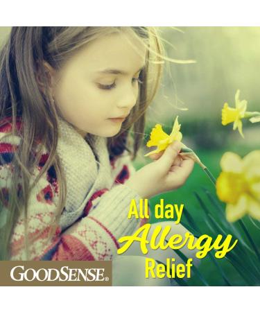 GoodSense Childrens All Day Allergy Cetirizine Hydrochloride Oral Solution 1 mg/mL Grape Flavor 4 Fl Oz (Pack of 1) - Buy Online on GoSupps.com