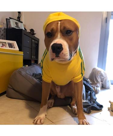 Eastlion Dog Sweater - Warm Yellow Puppy T-Shirt & Pullover Coat for Small Dogs | XS Size Pet Apparel - Buy Online on GoSupps.com