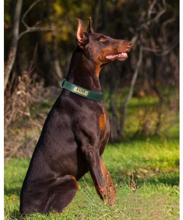 Tagme Personalized Leather Dog Collar - Engraved Name & Phone Number | Adjustable Green Collar for Small Medium & Large Dogs (33-39cm) - 1 Pack - Buy Online on GoSupps.com