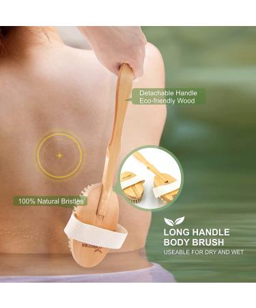 Dry Brushing Body Brush Set of 5  Natural Bristle Body Brush with Detachable Long Handle  Face Brush  Pumice Stone for Feet  Back Scrubber  Cellulite Massager Brush for Cellulite  Lymphatic Drainage wood-1 - Buy Online on GoSupps.com