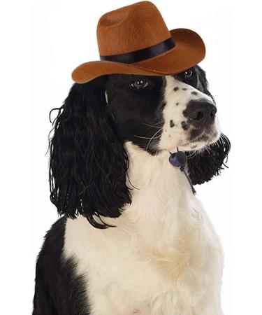 Custom Cowboy Hat & Bandana Set for Dogs & Cats | Perfect Pet Costume & Party Accessories - Buy Online on GoSupps.com