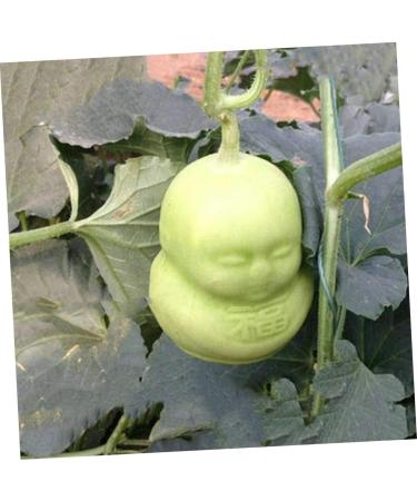 Anneome 2pcs Vegetable Shaping Mold Fruit Cucumber Shaping Molds Adorable Melon Mold Watermelon Pumpkin - Buy Online on GoSupps.com
