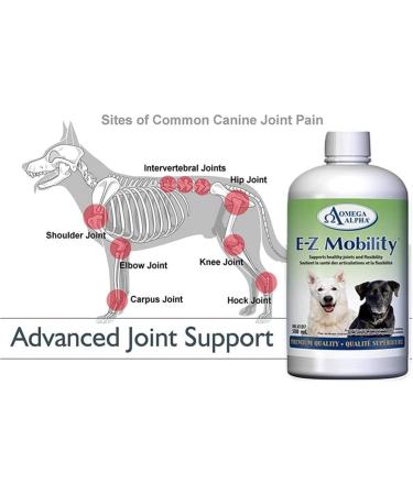 Omega Alpha E-Z Mobility 500ml - Enhance Joint Health & Mobility | Fast International Shipping - Buy Online on GoSupps.com