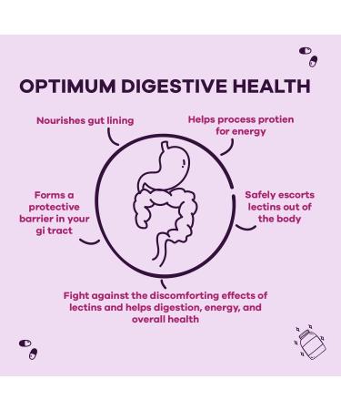 Lectin Defense by GoBiotix - Supports Intestinal Health and Immune System - Digestive Enzyme Supplement for Men and Women - Non-GMO & Gluten Free - 60 Caps - Buy Online on GoSupps.com