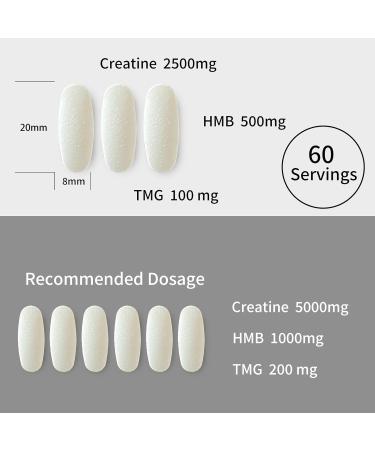 YOUTHVITA Creatine HMB TMG 180 Tablets Micronized Creatine Monohydrate with HMB & TMG Support Muscle Growth Athletic Performance Fast Workout Recovery 60 Servings - Buy Online on GoSupps.com