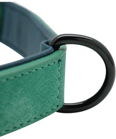 Didog Custom Engraved Leather Dog Collar - Soft Padded D-Ring for Small & Medium Dogs (33-40 cm Green) - Buy Online on GoSupps.com