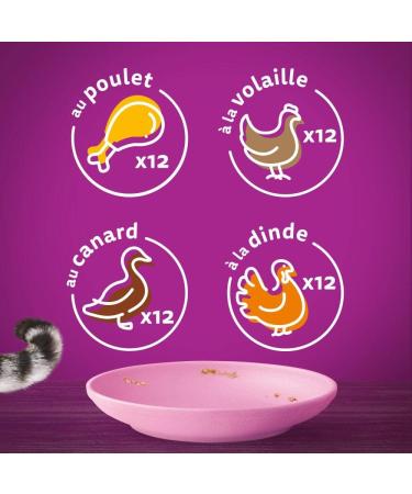 WHISKAS Kitten Meal 48 Fresh Sachets (Pack of 4 Packs 12 x 85g) Poultry Feasts (4 Varieties) Junior Cat Food in Jelly - Buy Online on GoSupps.com
