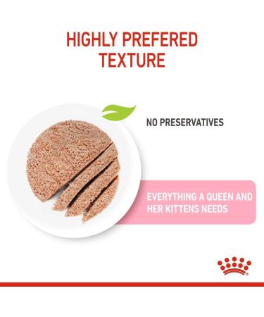 Royal Canin Mother & Babycat Mousse | 12 x 195 g | Complete Food for Cats | Especially for the Mother Cat and Her Puppies | To Support the Body's Defense - Buy Online on GoSupps.com