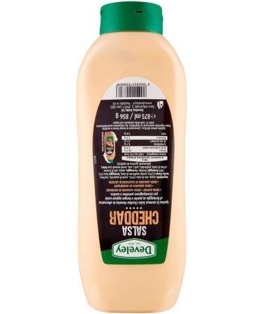  Italian Gourmet E.R. Develey Salsa Gluten Free Cheddar Sauce Set of 4 870ml + 400g - Buy Online on GoSupps.com