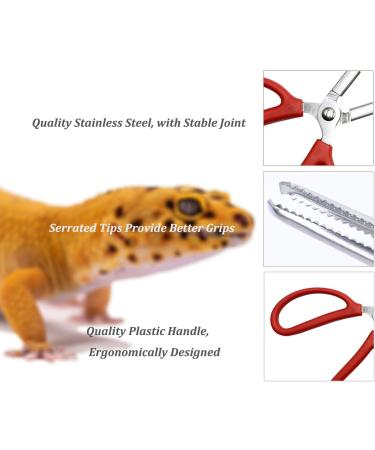 38cm Black Stainless Steel Aquarium Food Tweezers - Rust-Resistant & Perfect for Feeding Reptiles Plants & Spiders - Buy Online on GoSupps.com