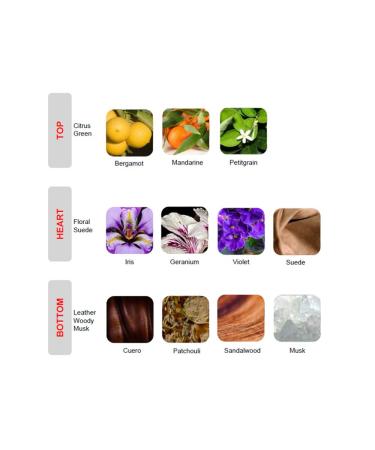 Antonio Banderas Only Diavolo for Men Eau De Toilette Spary 3.4 Oz - Buy Online on GoSupps.com