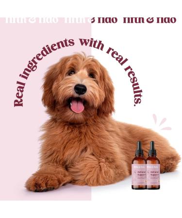 Dog Adrenal Support - Herbal Kidney & Cushings Treatment - 2 Fl Ounces - Buy Online on GoSupps.com
