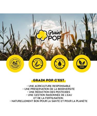 2 Box nature Grain Pop 2x10 sachets - Popcorn micro-ondables - grain de ma s - Buy Online on GoSupps.com